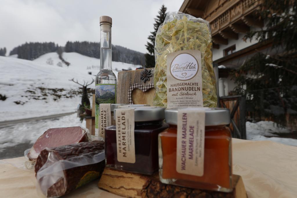 Hotel Und Alpen Apartments Mit Sauna - Buerglhoeh Bischofshofen Exterior foto